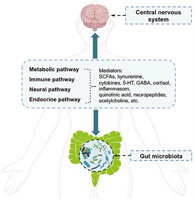 Bibliometric and Visual Analysis of Research on the Links Between the Gut Microbiota and Depression From 1999 to 2019